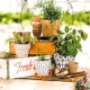 ICare- Appreciave Thank You Card Package
