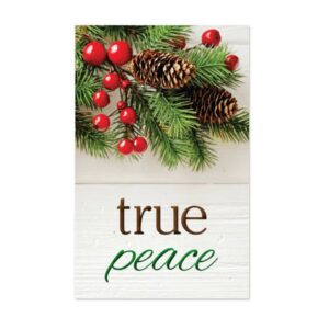Image of Tract: True Peace NKJV 100pk
