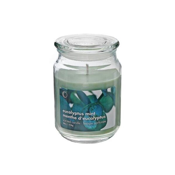 Scented Jar Candle w/ Lid - Eucalyptus Mint - 18 oz 456 0278 0