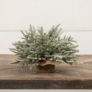 Image of Snowy Pine Tablepiece w/ Burlap Base