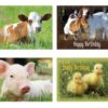 Baby Animals Birthday Boxed Cards - Image 2