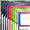 Spectrum Classic Outdoor Volleyball Set - White