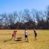 Boardball Game - Image 6