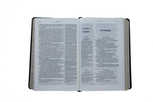 KJV Bible Pennsylvania Deitsh Imitation Leather 100 0152 3