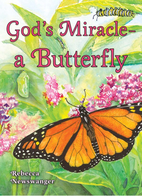 God's Miracle -A Butterfly 102 0648 0