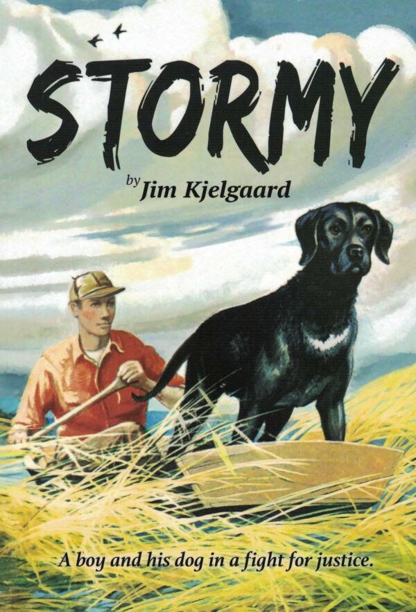 Stormy: A Boy and His Dog 102 0661 0