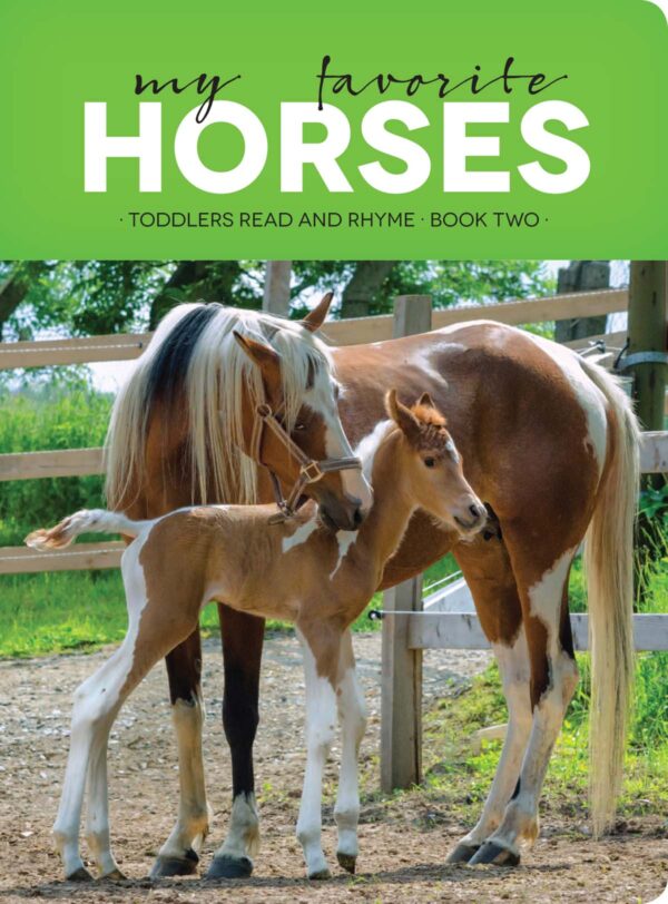 My Favorite Horses Board Book- Discontinued 102 0673 0