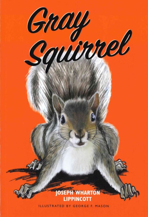 Gray Squirrel - Temporarily out of print