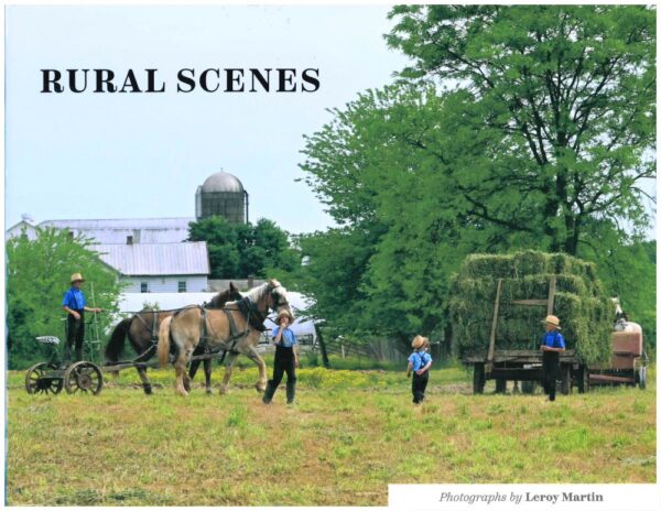 Rural Scenes #1