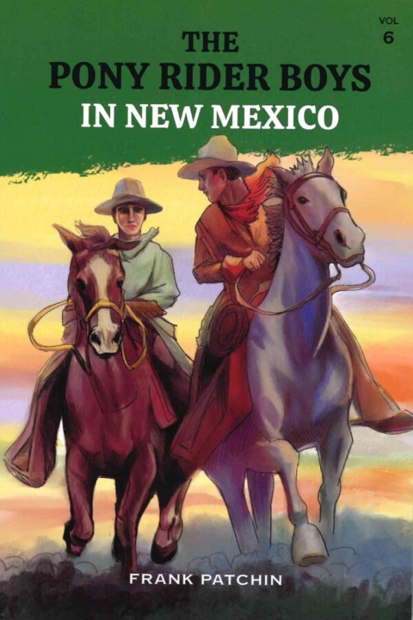 The Pony Rider Boys in New Mexico #6