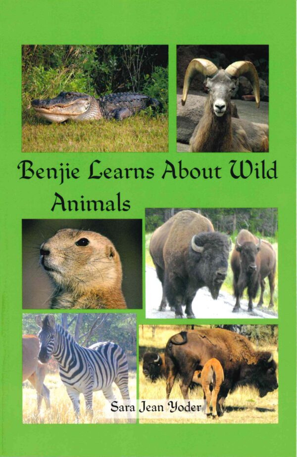 Benjie Learns About Wild Animals 102 5491 0