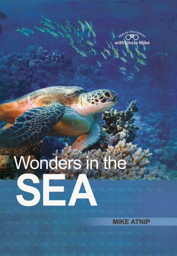 Wonders in the Sea 102 5658 0