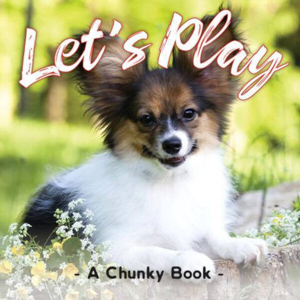 Let's Play - Chunky Board Book 102 5688 0