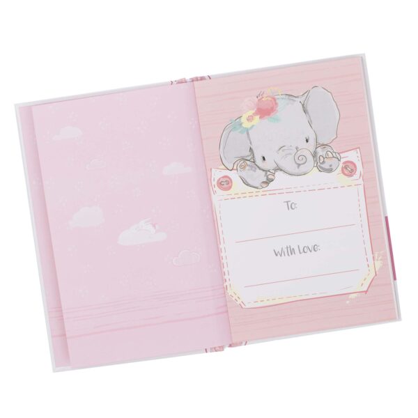 Prayers for My Baby Girl Prayer Book 102 6073 3