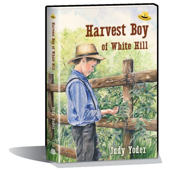 Harvest Boy of White Hill #3 Little Eli Series 102 6123 0