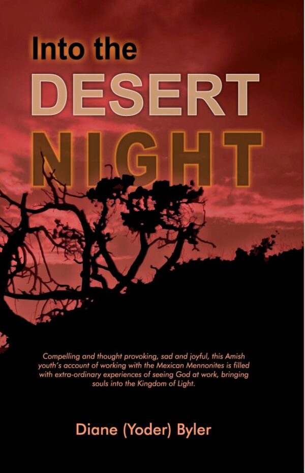 Into the Desert Night 104 0060 0