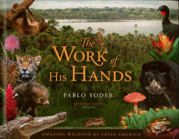 The Work of His Hands 104 0799 0