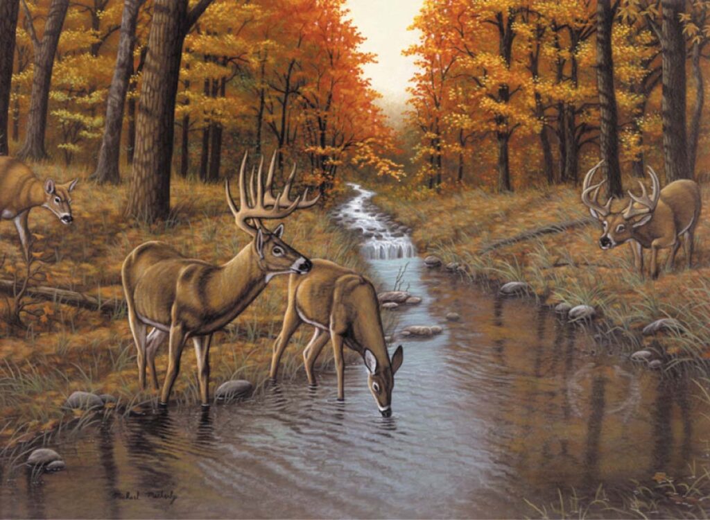 Image of Paint by Number | Adult Symond’s Creek
