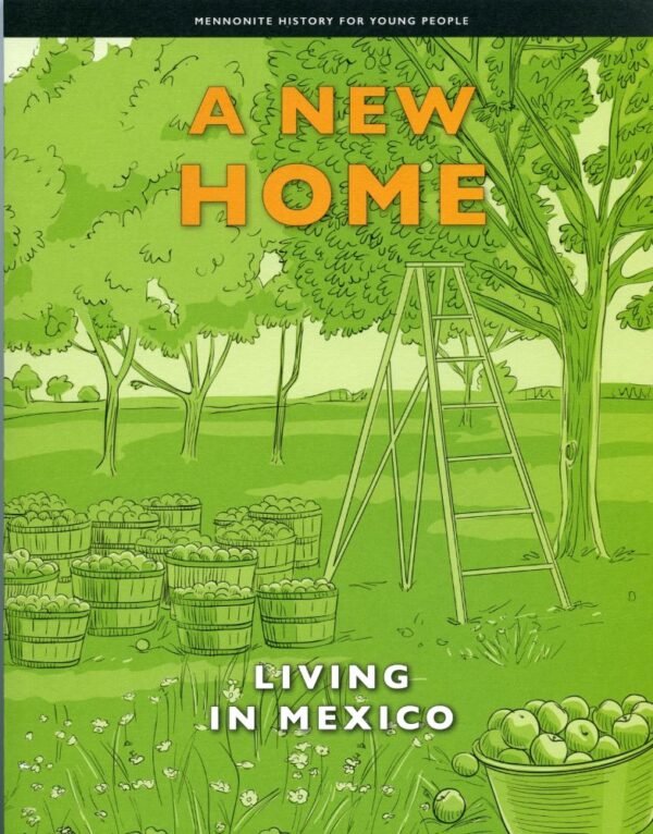 A New Home: Living in Mexico: Volume 3 162 0012 0