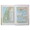 KJV Pink and Gray Faux Leather Super Giant Print Full-size Bible - Image 4