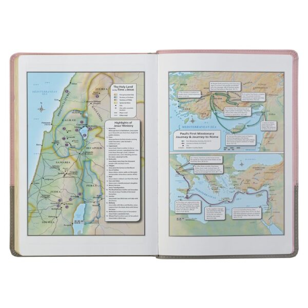 KJV Pink and Gray Faux Leather Super Giant Print Full-size Bible 206 0992 3