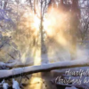 Waterscapes Boxed Christmas Cards 12 pk. - Image 2
