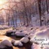 Waterscapes Boxed Christmas Cards 12 pk. - Image 3