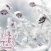 With Sympathy Boxed Christmas Cards 12 pk. - Image 2