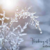 With Sympathy Boxed Christmas Cards 12 pk. - Image 3