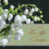 Value Boxed Cards All Occasion