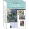 GET WELL III - Assorted Get Well Cards, Box of 12