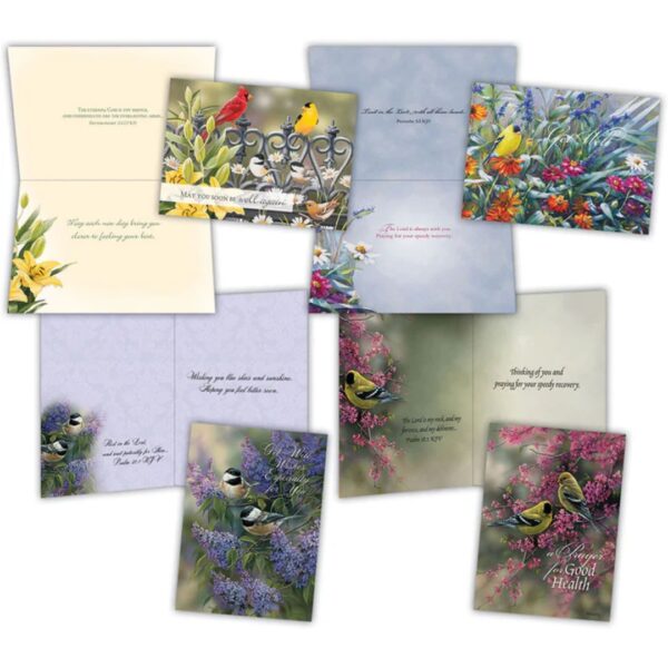 GET WELL III - Assorted Get Well Cards, Box of 12 540 0432 1