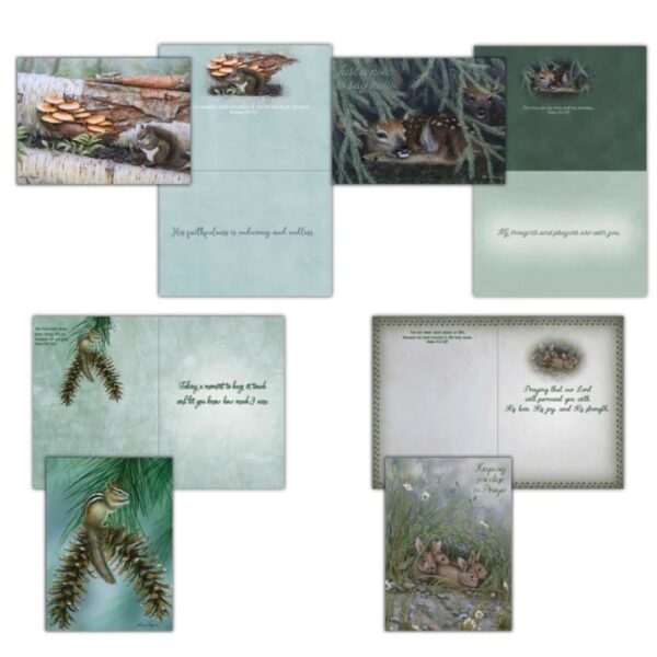 Woodlands - Boxed Thinking of You Cards, Box of 12 540 0443 1