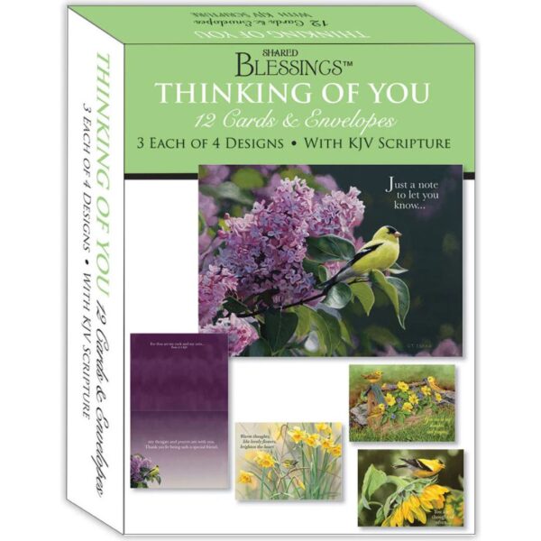 Thinking of You II - Assorted Thinking of You Cards, Box of 12 540 0464 0