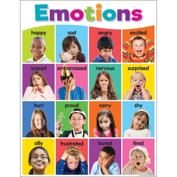 Emotions Chart Colorful 17" x 22" 619 1211 0