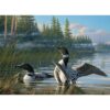 Puzzle Common Loons 1000pc