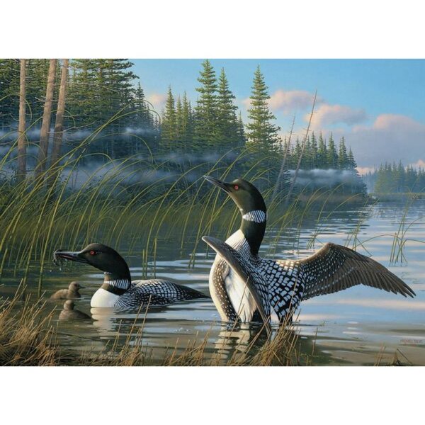 Puzzle Common Loons 1000pc 654 1744 0