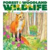 Creative Haven Forest & Woodland Wildl