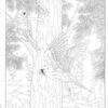 Creative Haven Forest & Woodland Wildl - Image 2