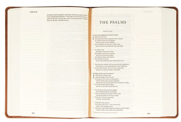 ESV Journaling Large Print Bible - Sierra Theme - Image 3