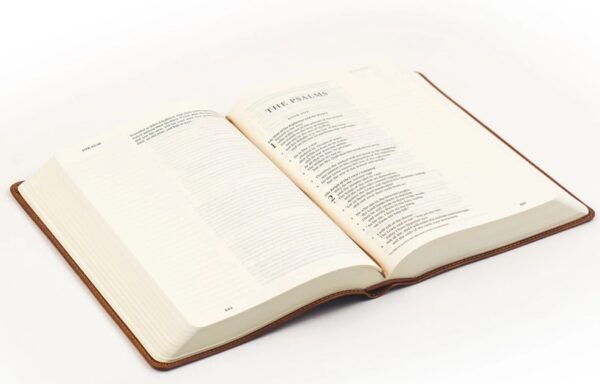 ESV Journaling Large Print Bible - Sierra Theme - Image 5