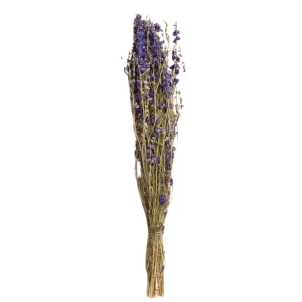 Dried Blue Larkspur Bundle 460 1451 0