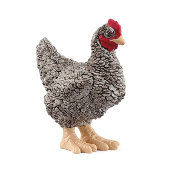 Plymouth Rock Chicken 662 0192 0