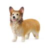 Welsh Corgie