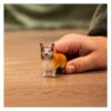 Welsh Corgie - Image 2