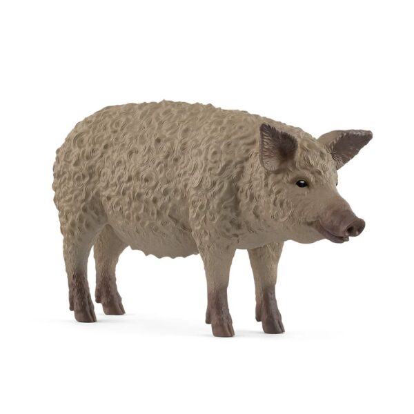 Mangalica Pig 662 0202 0