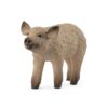 Mangalica Piglet
