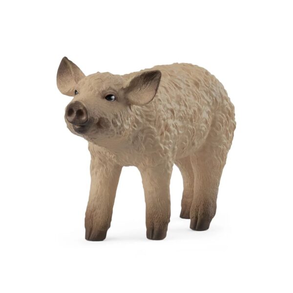 Mangalica Piglet 662 0203 0