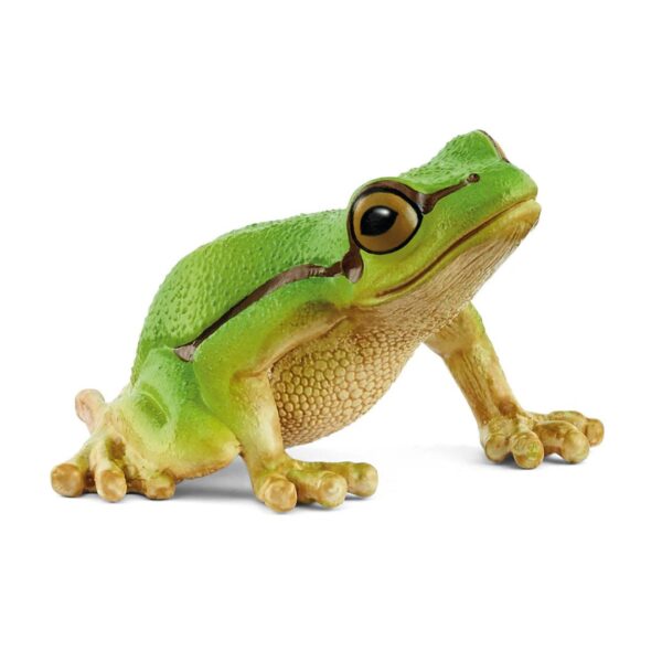 European Tree Frog 662 0214 0