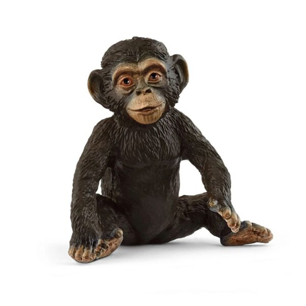 Chimpanzee Cub 662 0216 0